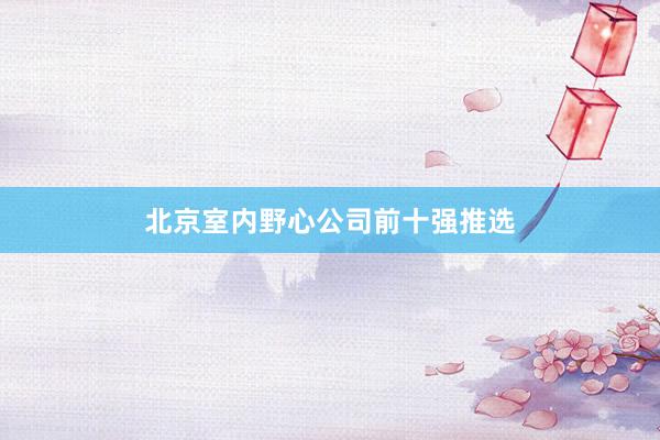 北京室内野心公司前十强推选